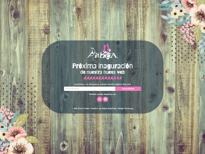 pitucatallercreativo.es snapshot