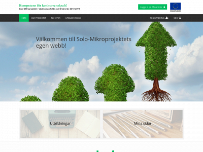 solomikro.se snapshot