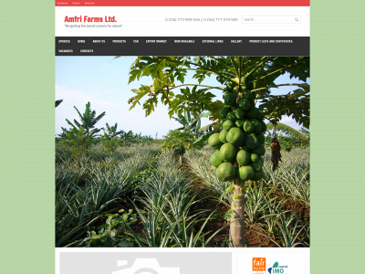 african-organic.com snapshot