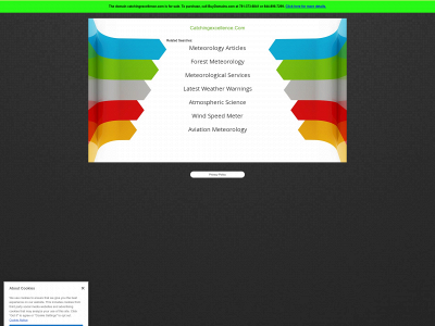 catchingexcellence.com snapshot