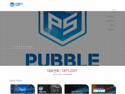 pubblesoft.co.kr snapshot