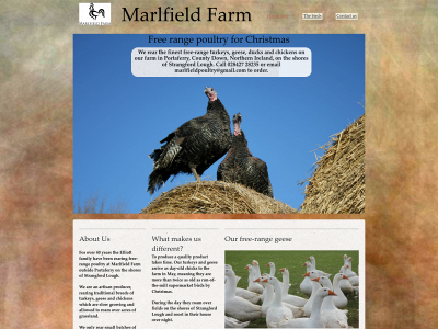 turkeysandgeese.com snapshot