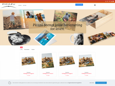 picazu.nl snapshot