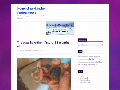 avalanchesleddogs.com snapshot