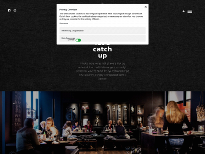 wokshop.dk snapshot