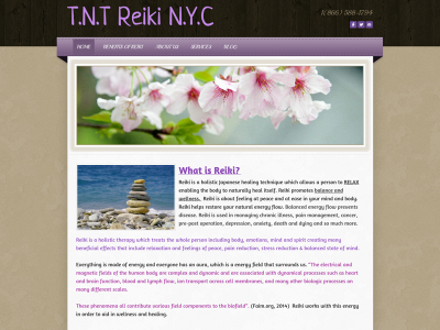 tntreiki.com snapshot