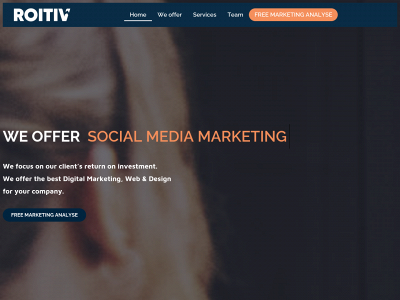 roitiv.com snapshot
