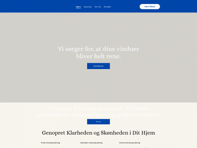 mtvinduespolering.dk snapshot
