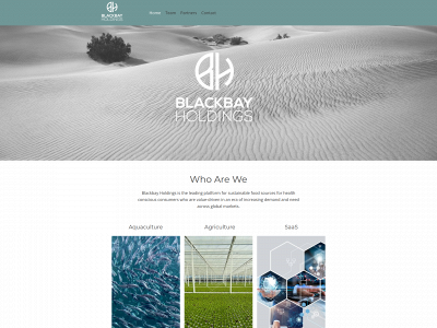 blackbayholdings.io snapshot