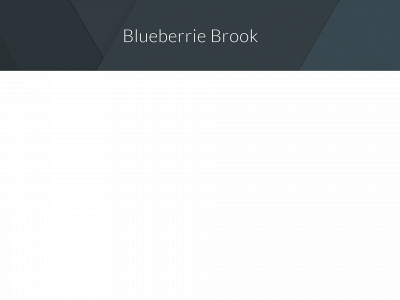 blueberriebrook.com snapshot