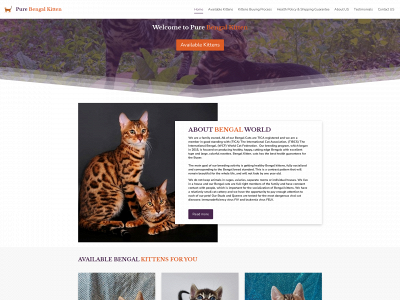 purebengalkitten.com snapshot