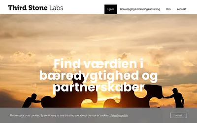 thirdstonelabs.dk snapshot