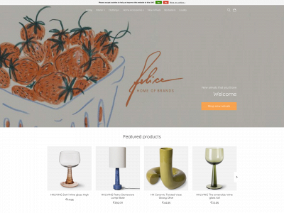felicehomeofbrands.com snapshot