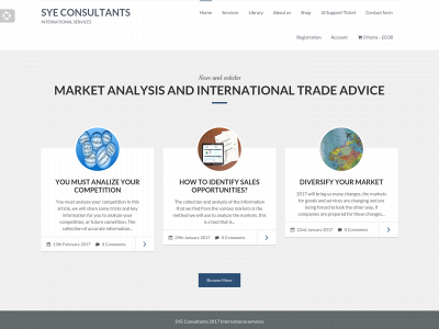 syeconsultants.com snapshot