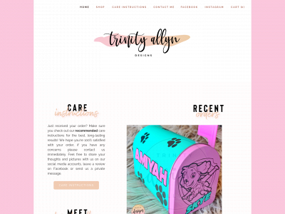 www.trinityallyn.com snapshot
