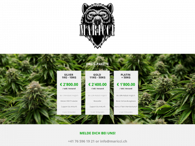 maricci.ch snapshot