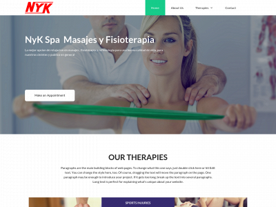 nykterapia.com snapshot
