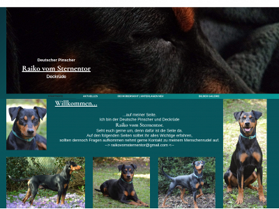 raiko-vom-sternentor.de snapshot