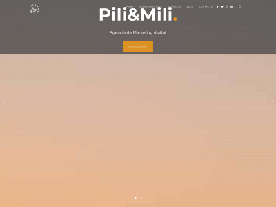 piliymilimarketing.com snapshot
