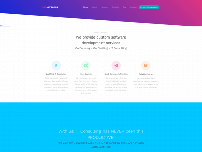 redoctopus.tech snapshot