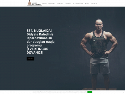 andriuspauliukevicius.lt snapshot