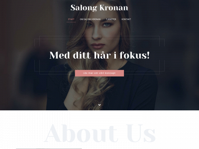 salongkronan.se snapshot