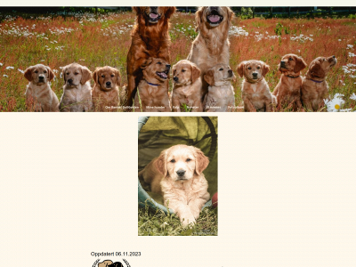 gullgolden.com snapshot