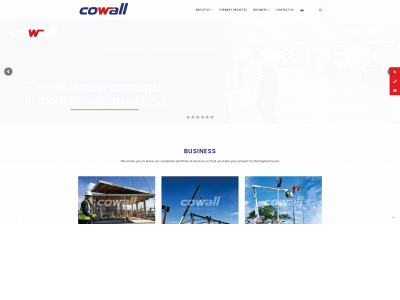 cowallint.com snapshot