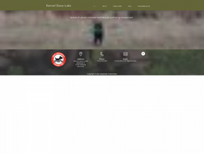 dana-labs.dk snapshot