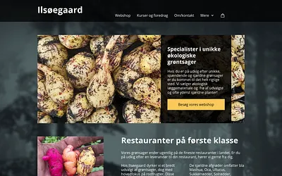 ilsoegaard.dk snapshot