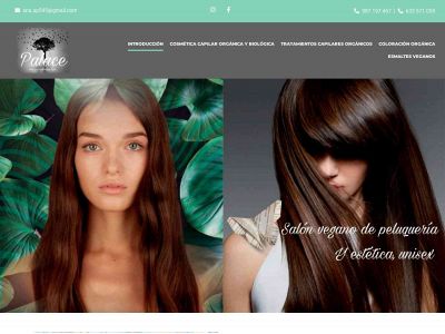www.salonveganopalace.com snapshot