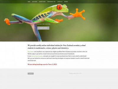 www.leapfrogtuition.co.nz snapshot