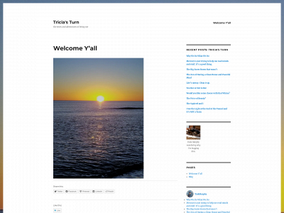 triciasturn.com snapshot