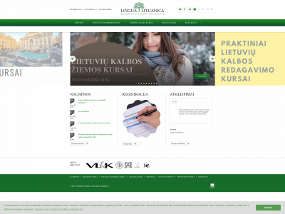 lingualit.lt snapshot