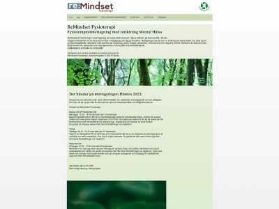 remindset.se snapshot