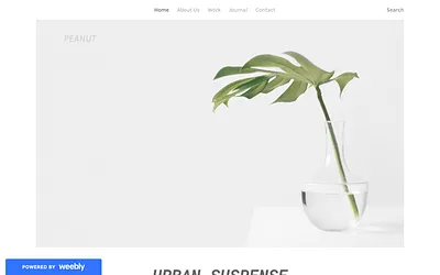 remainsilententerprize.weebly.com snapshot