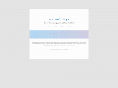 socheefuntoys.com snapshot