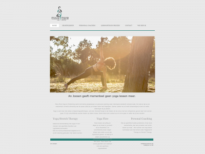 movemore.be snapshot
