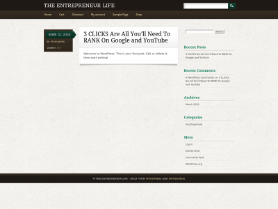theentrepreneurnow.com snapshot