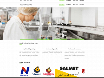 techemservis.lt snapshot