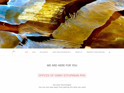 ginnyestupinian.com snapshot