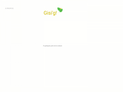 www.gisi-g.com snapshot