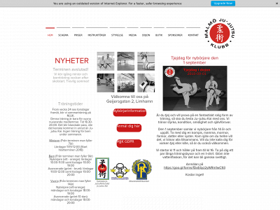 mjjk.com snapshot