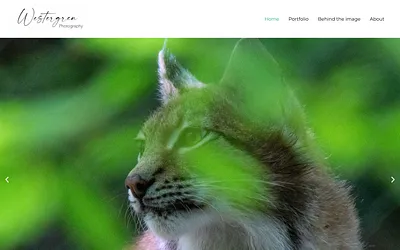 westergrenphotography.com snapshot