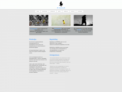 deloopcoach.be snapshot