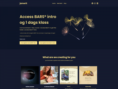 jamerit.com snapshot