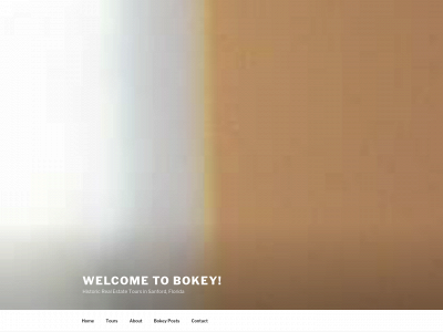 sanfordrealestatetours.com snapshot