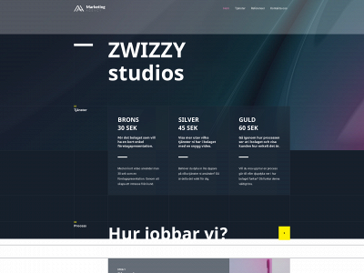 zwizzystudios.com snapshot