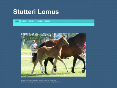 stutterilomus.dk snapshot