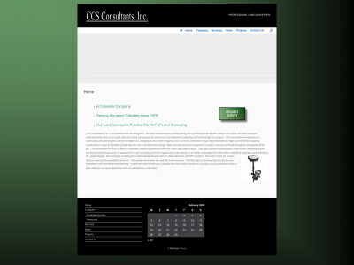 ccsconsultantsinc.com snapshot